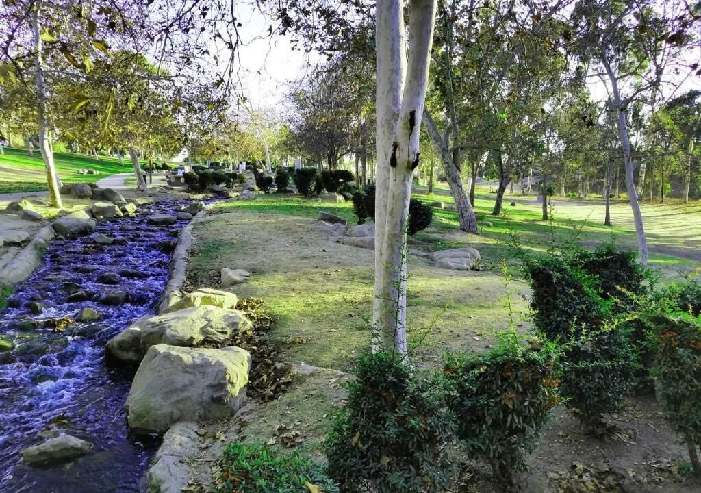 Photo of Outdoor in View Park-Windsor Hills