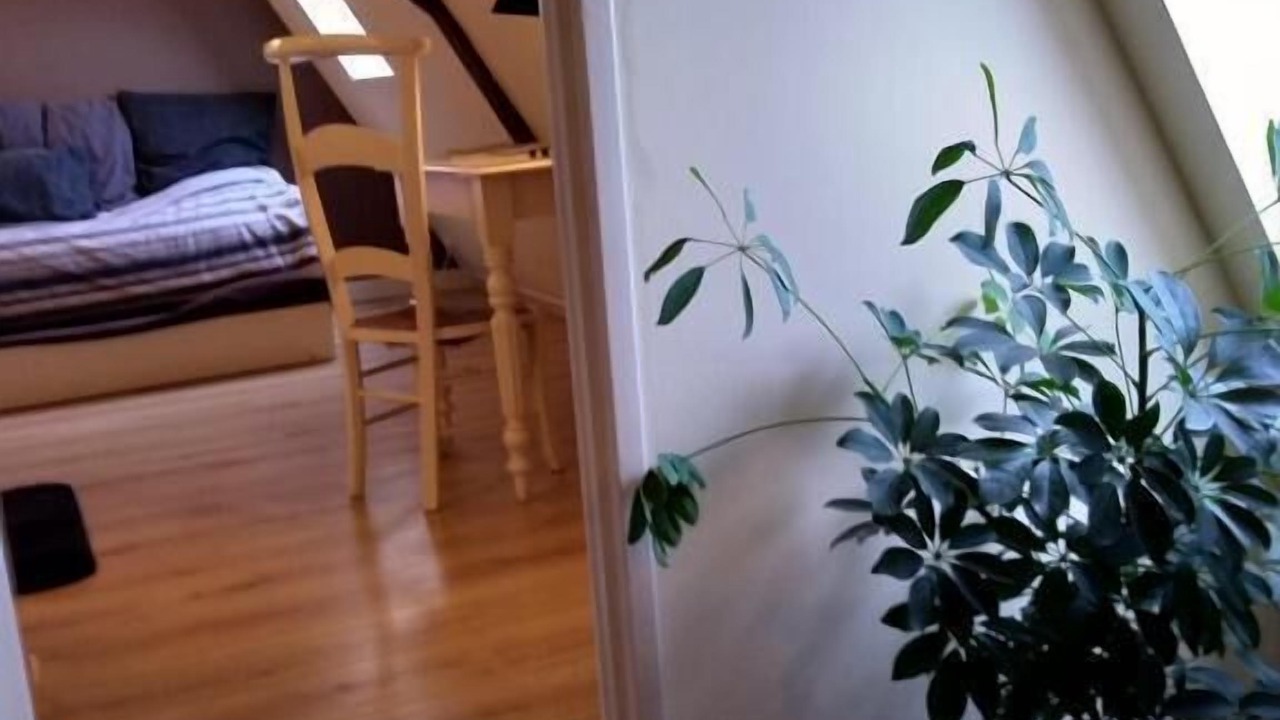 Photo of Others in Hazebrouck