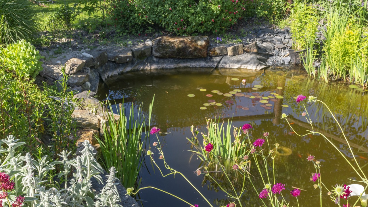 Photo of Outdoor in Vernantes