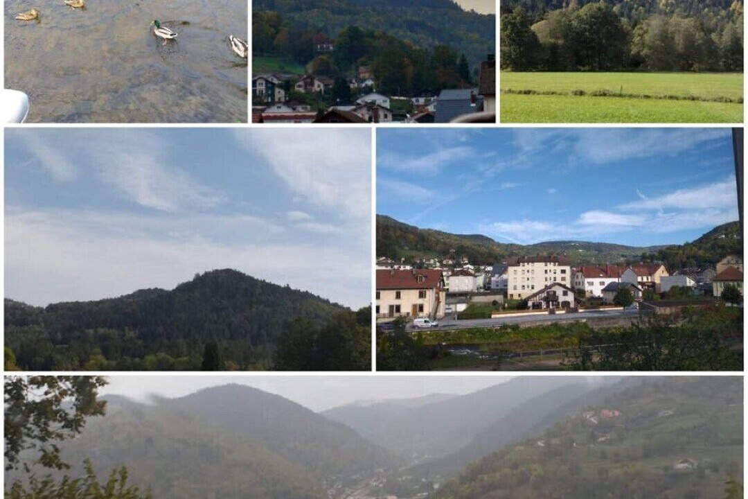 Photo of Others in Travexin