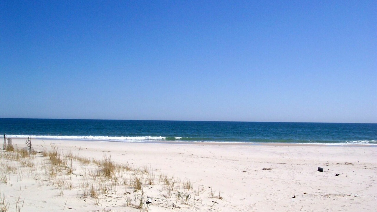 Photo of Others in West Hampton Dunes