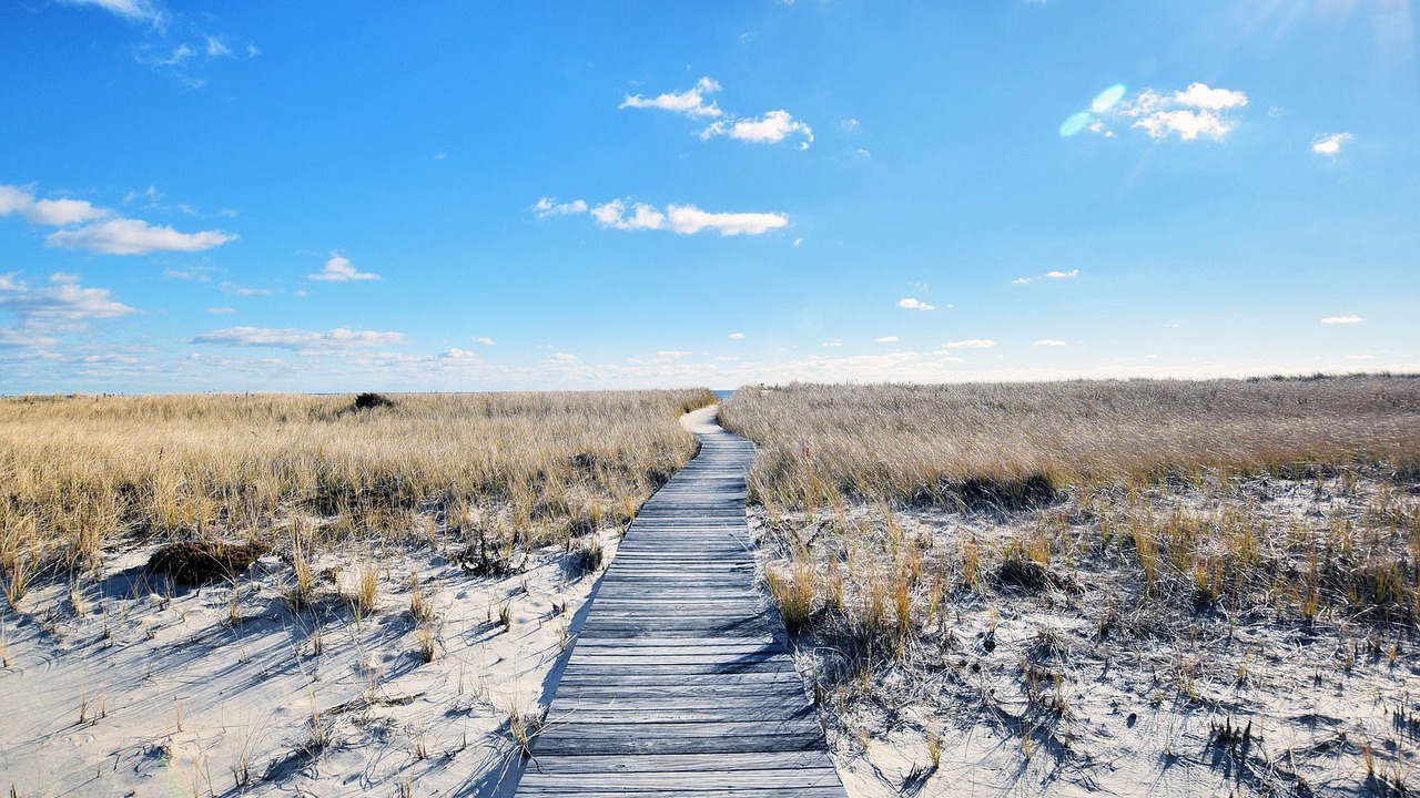Photo of Others in West Hampton Dunes