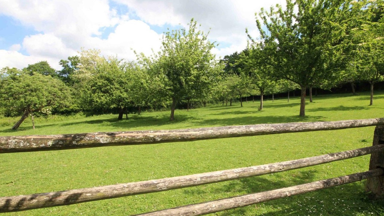 Photo of Outdoor in La Sauvagere