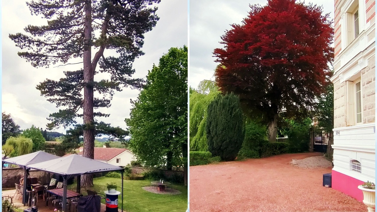 Photo of Bedroom in Saint-Didier-en-Velay