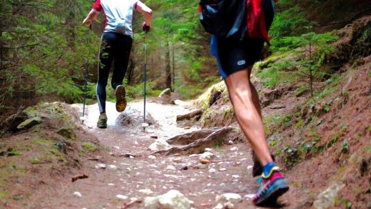 Photo of Others in Saint-Didier-en-Velay