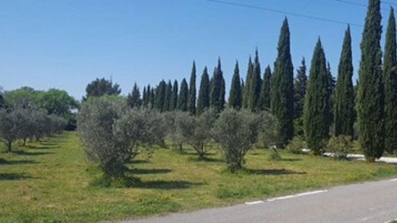 Photo of Outdoor in Eyragues
