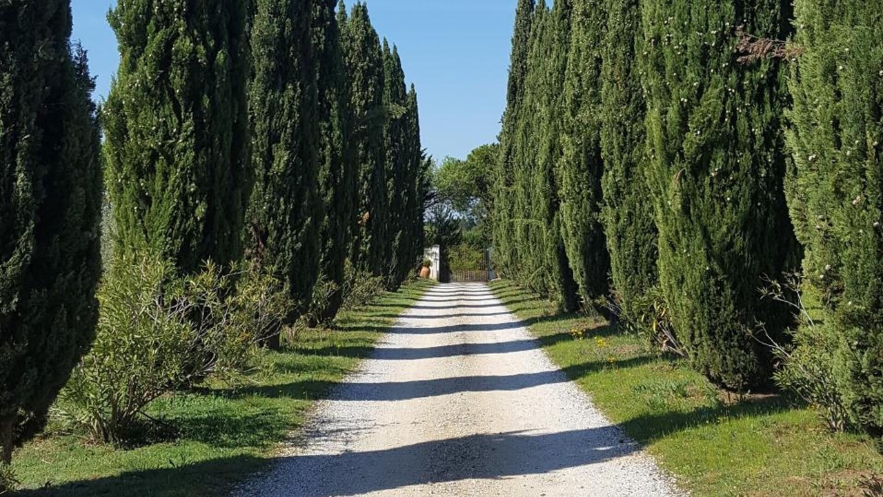 Photo of Outdoor in Eyragues
