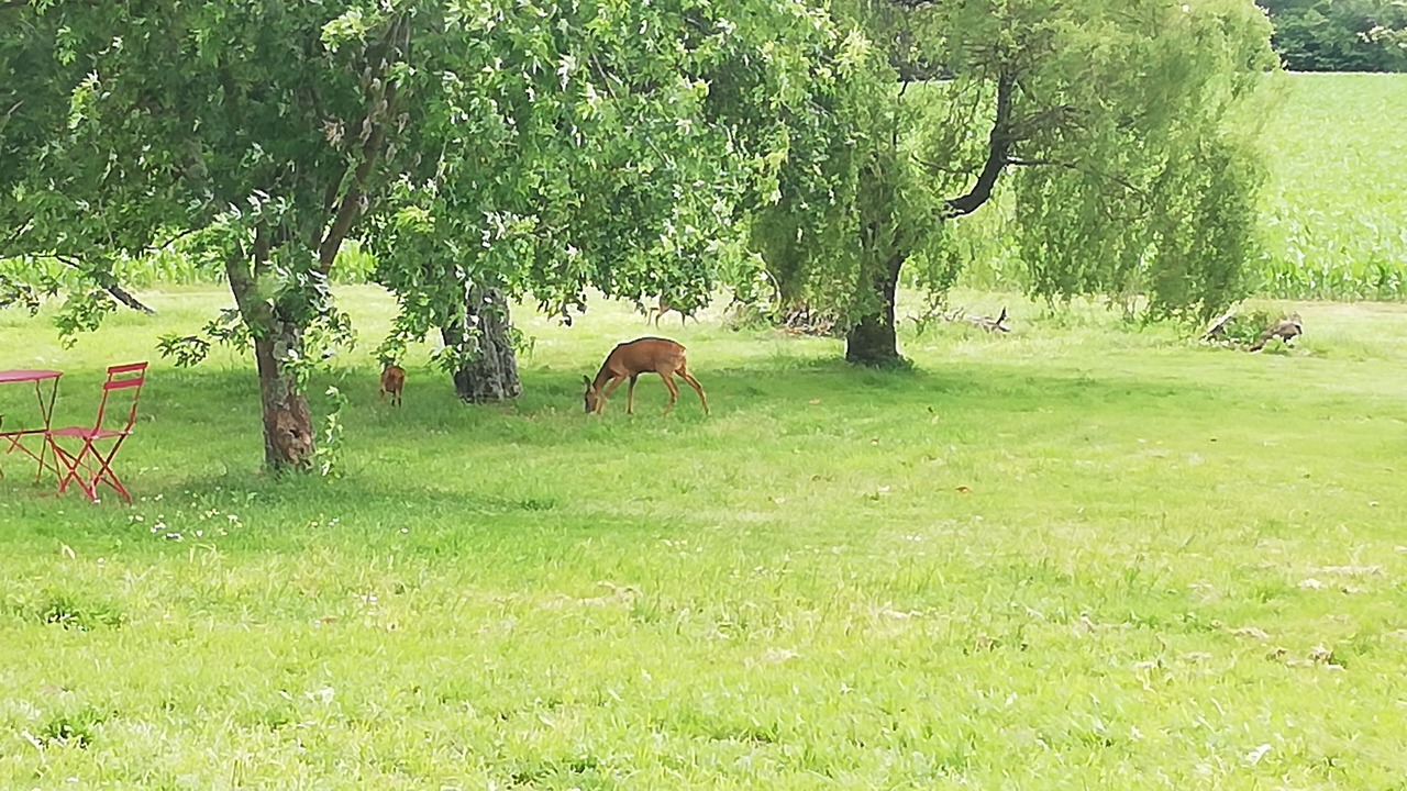 Photo of Outdoor in Montsoue