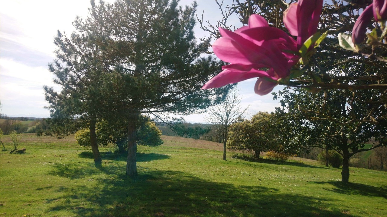 Photo of Outdoor in Montsoue