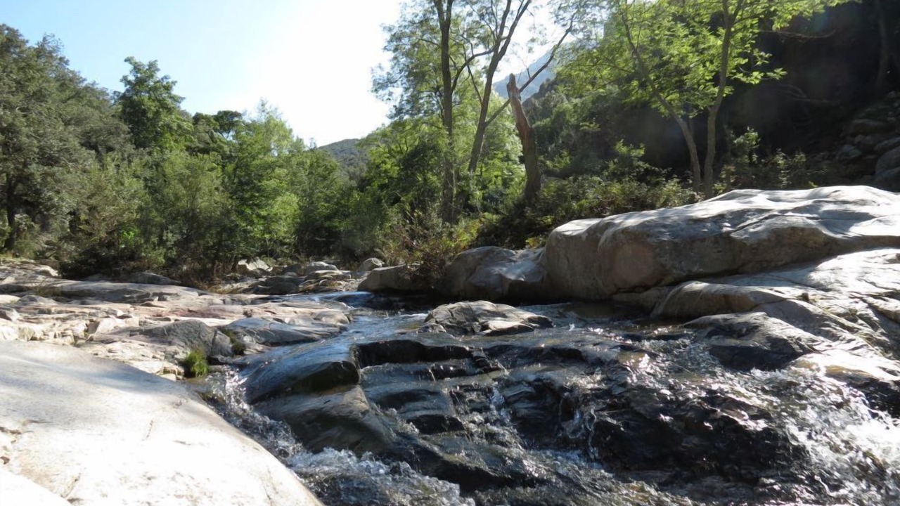 Photo of Outdoor in Sorede