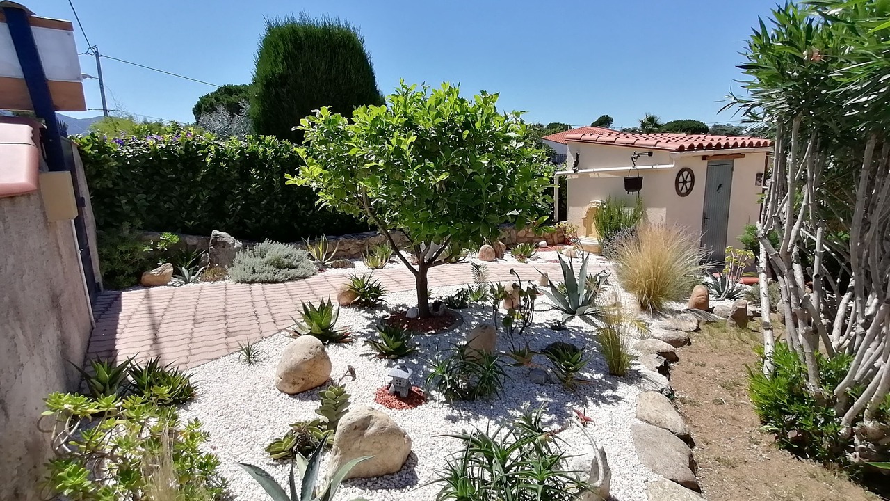 Photo of Outdoor in Sorede