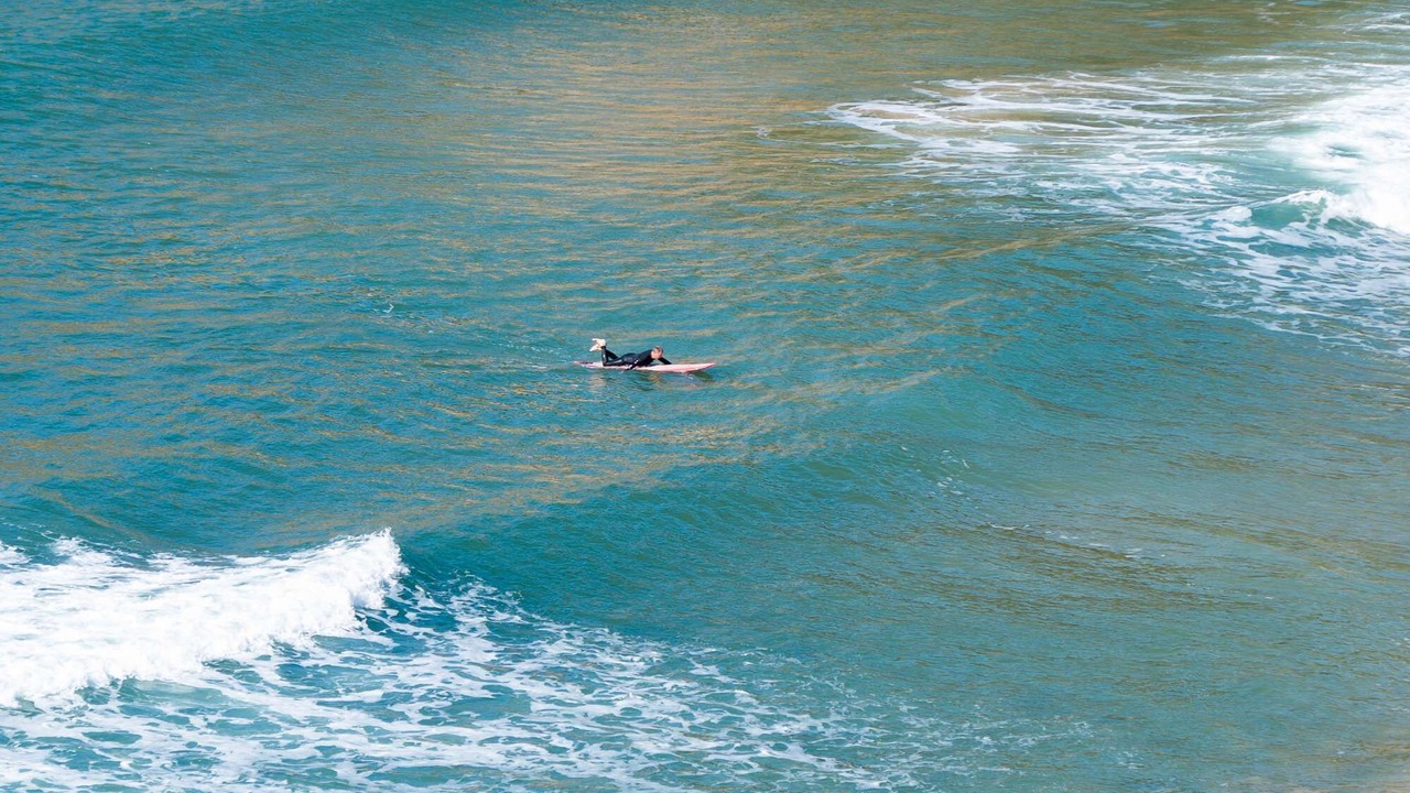 Photo of Others in Macmasters Beach