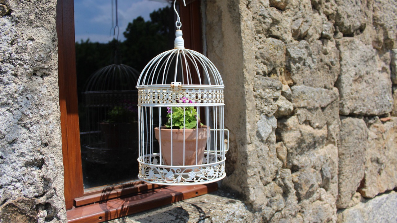 Photo of Outdoor in Saint-Barthelemy-Grozon