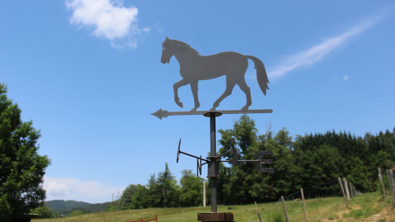 Photo of Outdoor in Saint-Barthelemy-Grozon