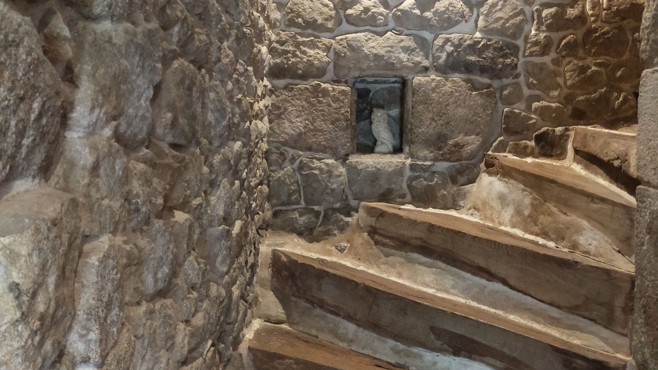 Photo of Others in Saint-Barthelemy-Grozon