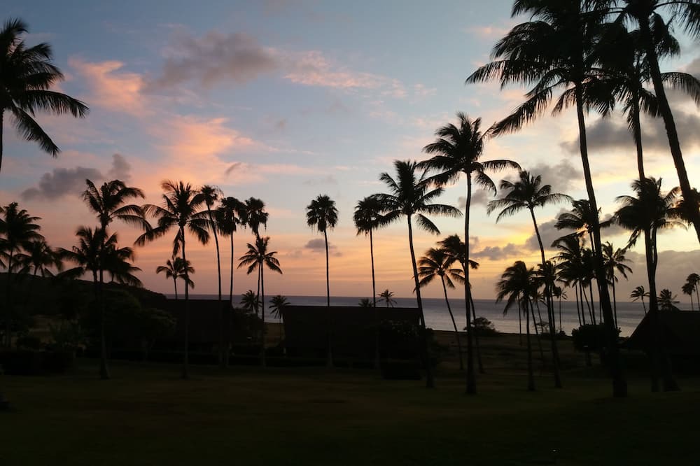 Photo of Others in Maunaloa