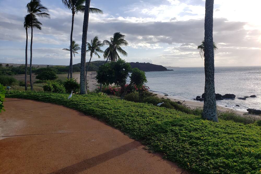 Photo of Others in Maunaloa