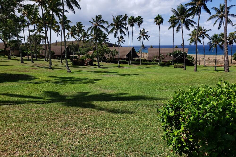 Photo of Others in Maunaloa