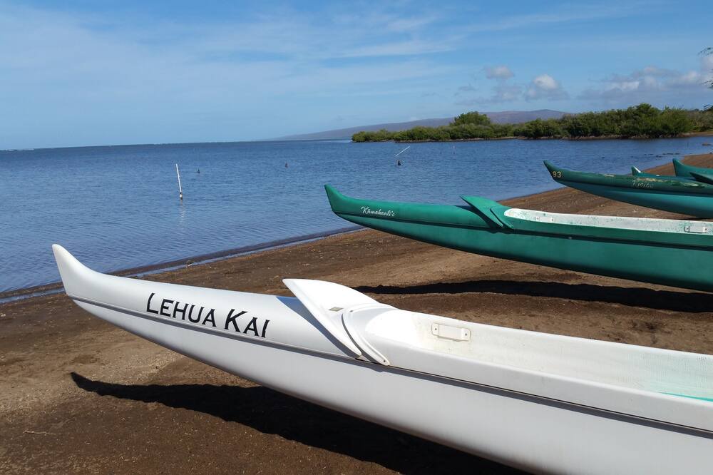 Photo of Others in Maunaloa