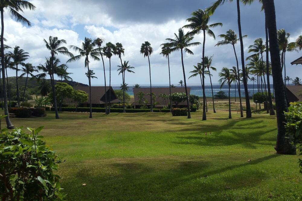 Photo of Others in Maunaloa