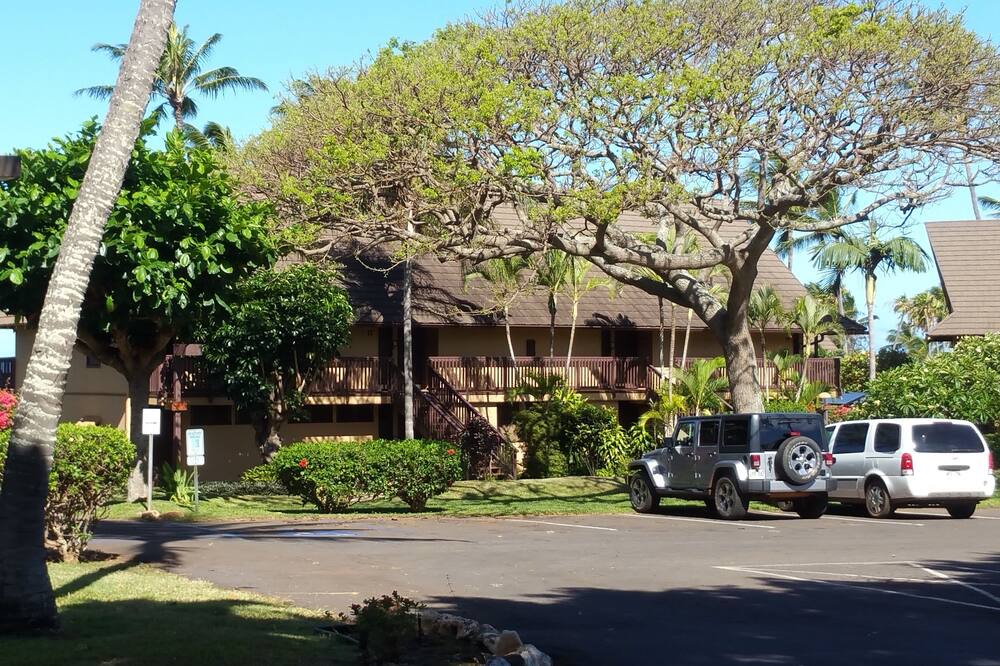 Photo of Others in Maunaloa