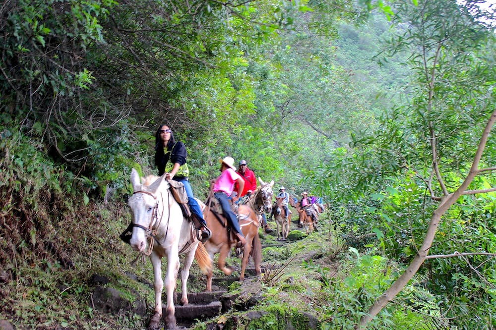 Photo of Others in Maunaloa