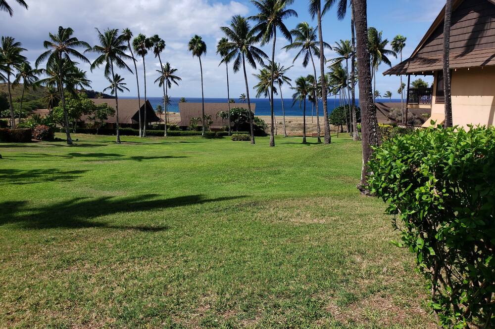 Photo of Others in Maunaloa