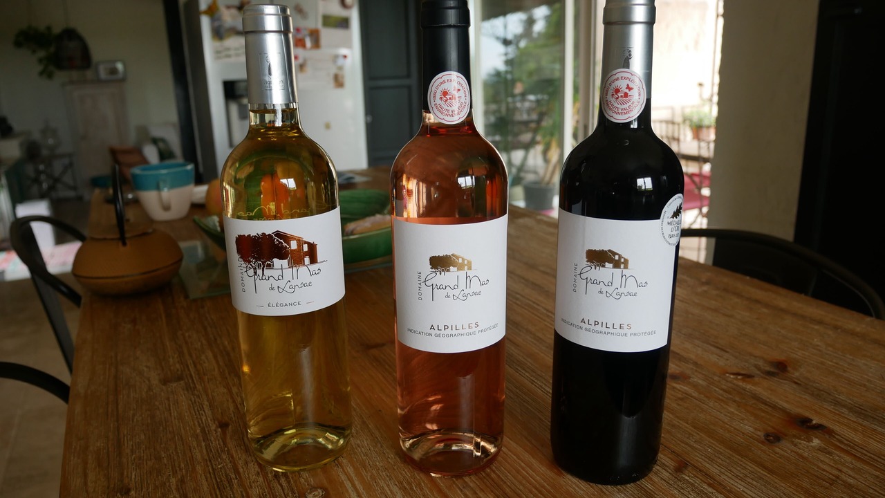 Photo of Others in Tarascon