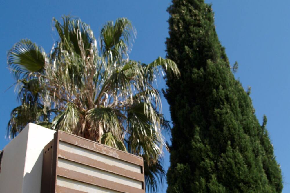 Photo of Outdoor in Puerta de Hierro