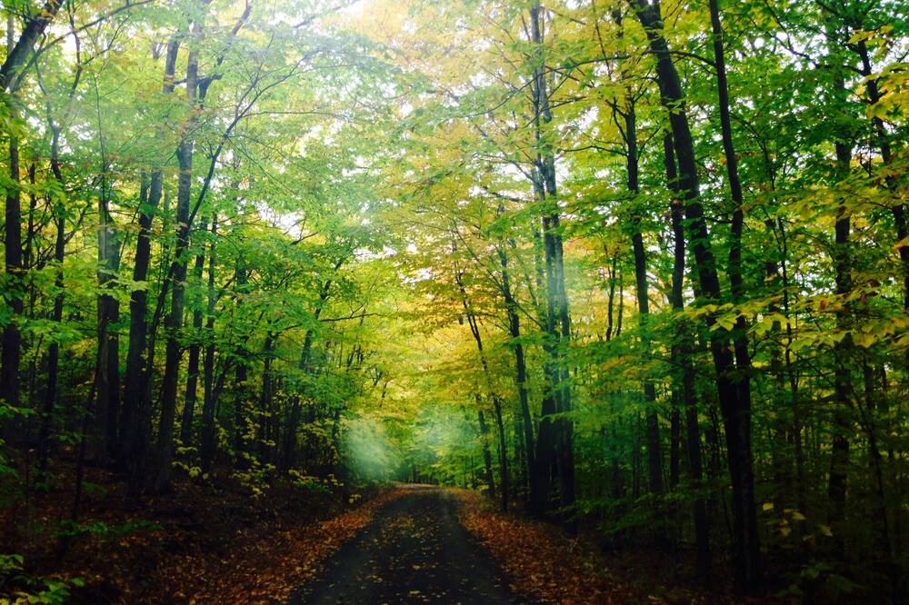 Photo of Others in Vassalboro