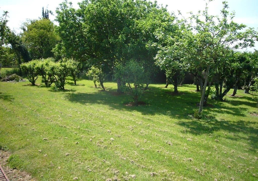 Photo of Outdoor in Saint-Juire-Champgillon