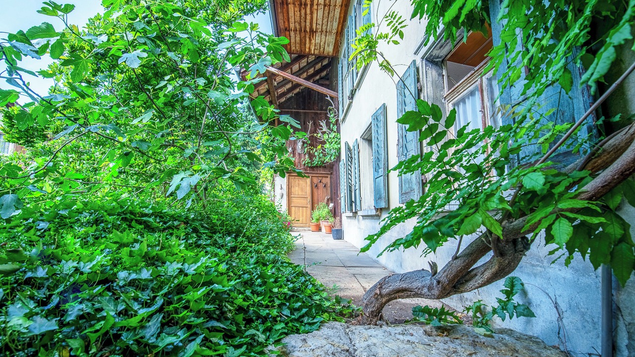 Photo of Outdoor in Obererlinsbach