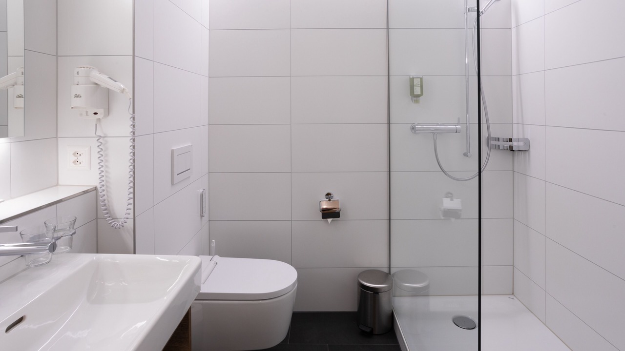 Photo of Bathroom in Schwyz