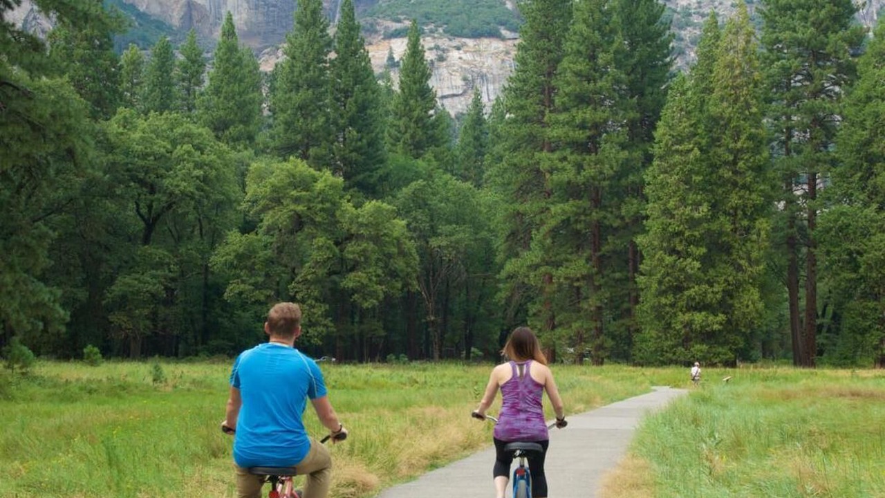 Photo of Others in Yosemite Village