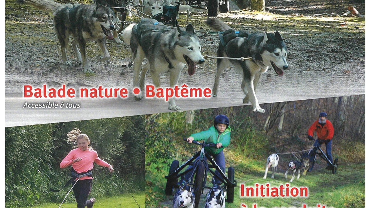 Photo of Others in Samois-sur-Seine
