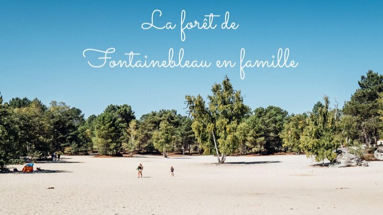 Photo of Others in Samois-sur-Seine