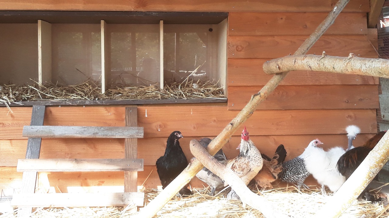 Photo of Others in Change