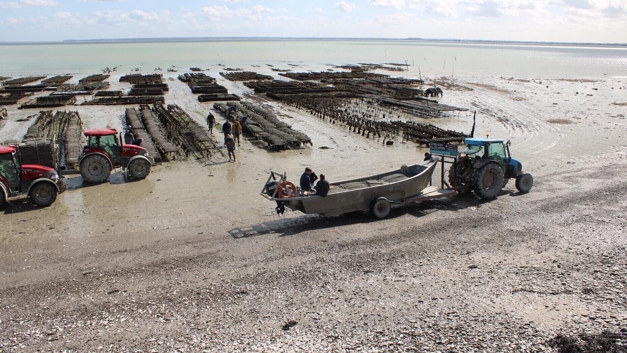 Photo of Others in Cancale