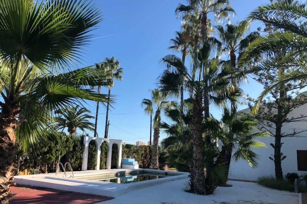 Photo of Others in Benicassim
