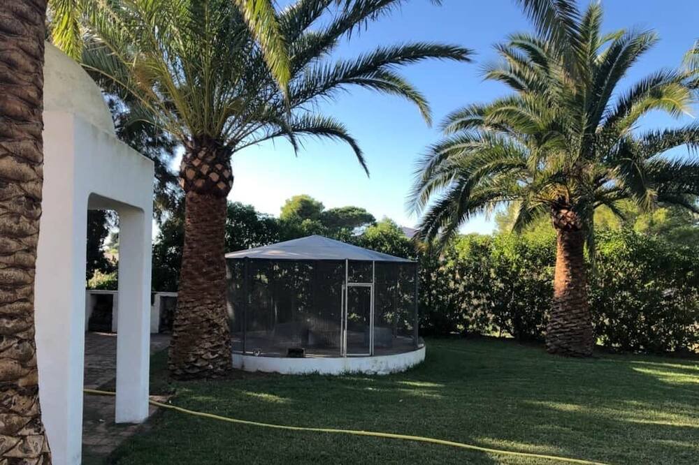 Photo of Others in Benicassim