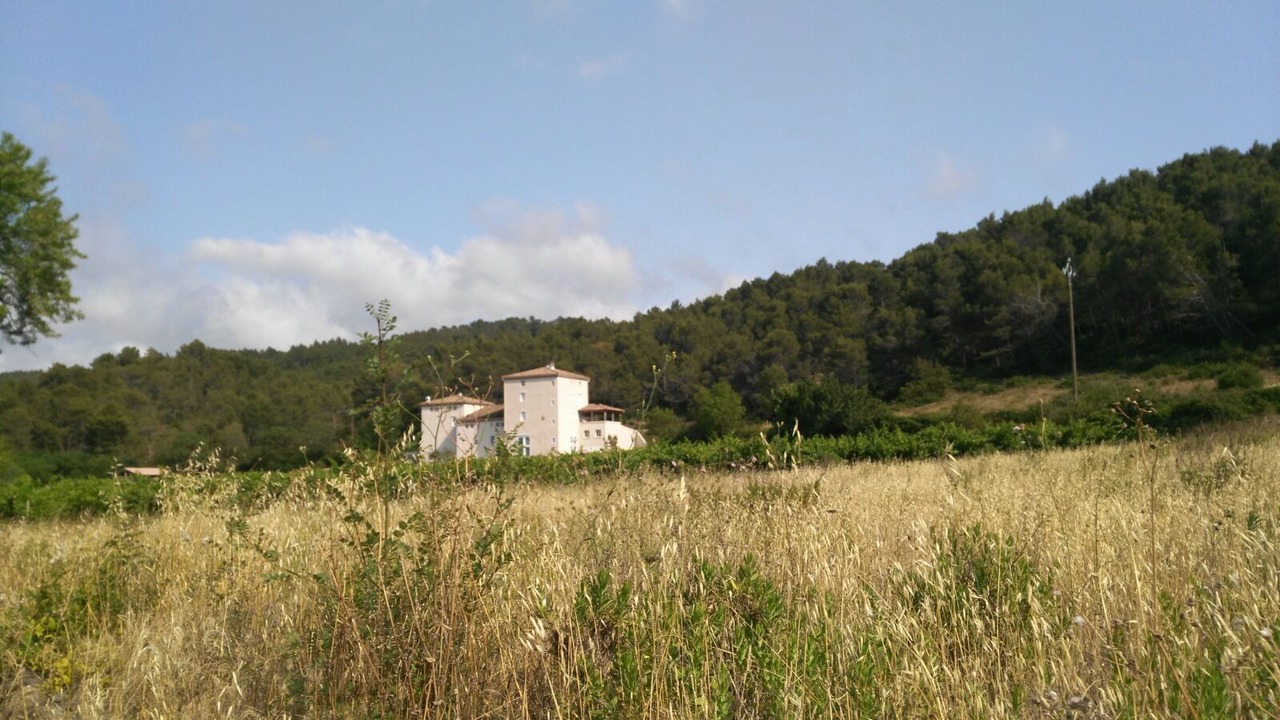 Photo of Outdoor in Villeseque-des-Corbieres