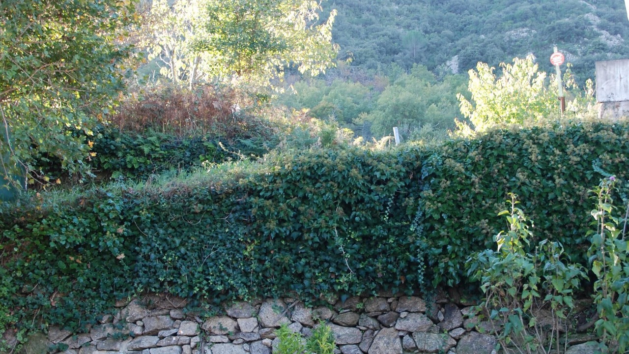 Photo of Outdoor in Ceret