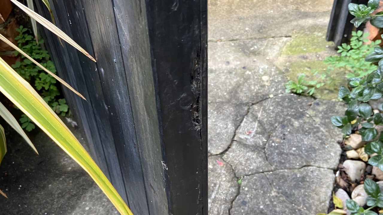 Photo of Patio Balcony in Henley