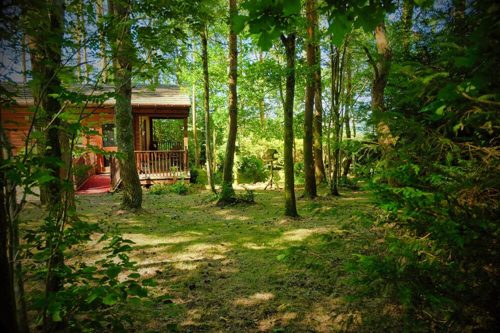 Photo of Outdoor in Saint John's Town of Dalry