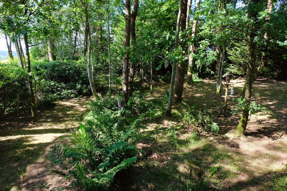 Photo of Outdoor in Saint John's Town of Dalry