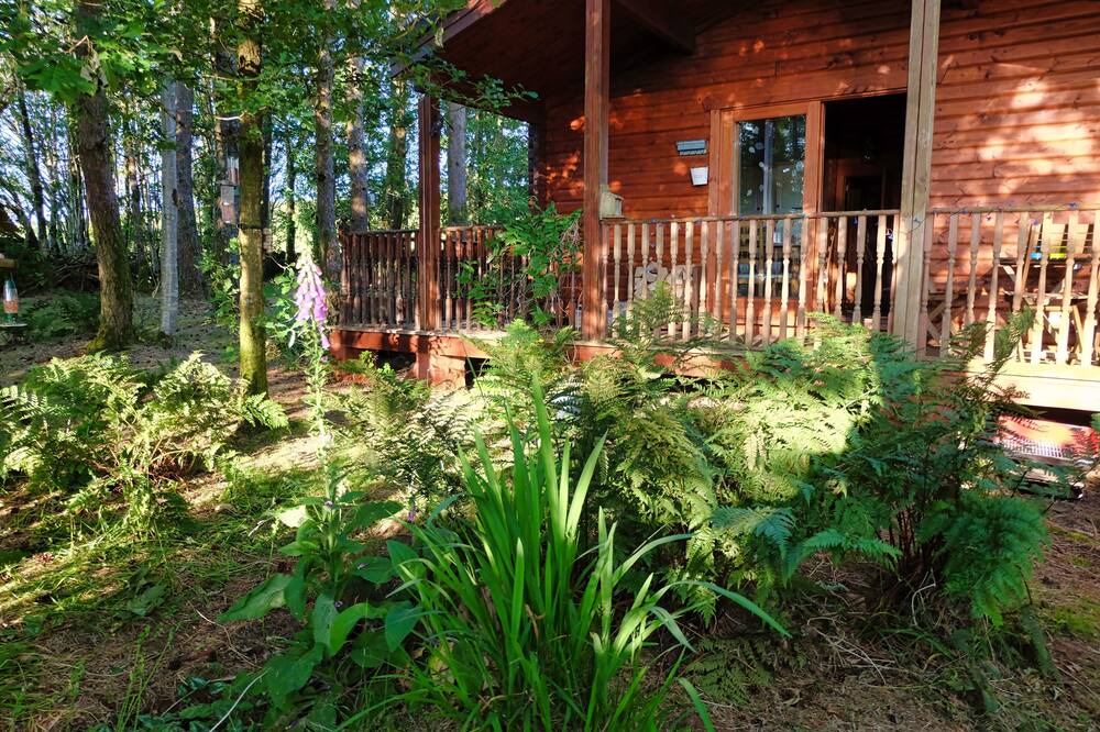 Photo of Outdoor in Saint John's Town of Dalry