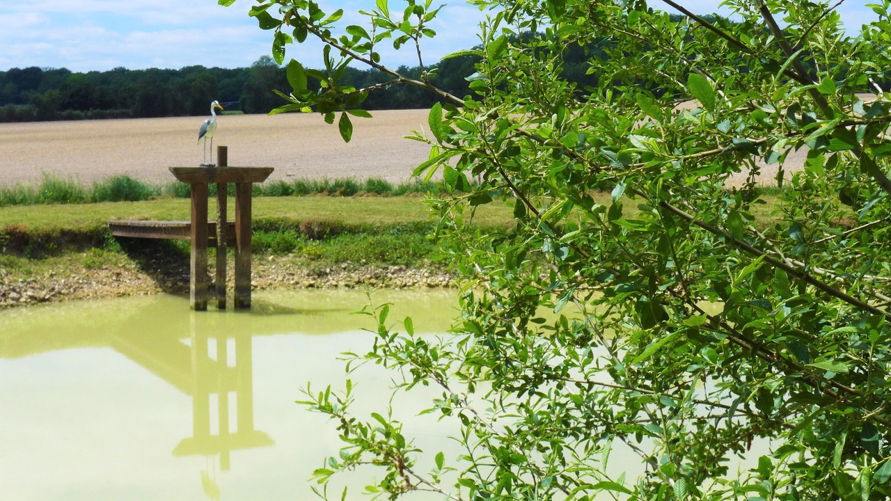 Photo of Outdoor in Autry-le-Chatel