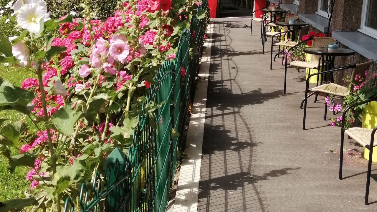 Photo of Patio Balcony in Dunkerque Centre