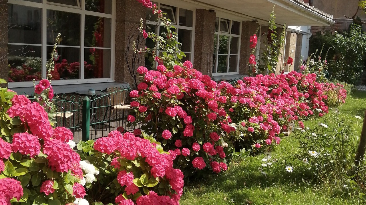 Photo of Bedroom in Dunkerque Centre