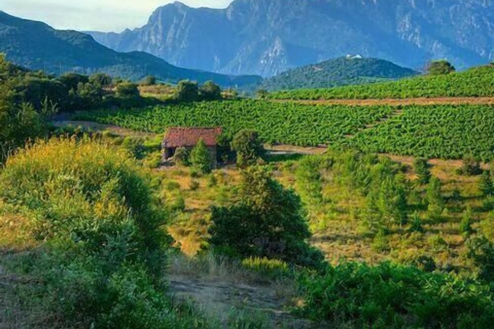 Photo of Outdoor in Fabrezan